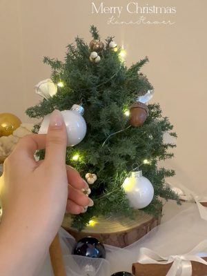 2025 永生雪松聖誕樹