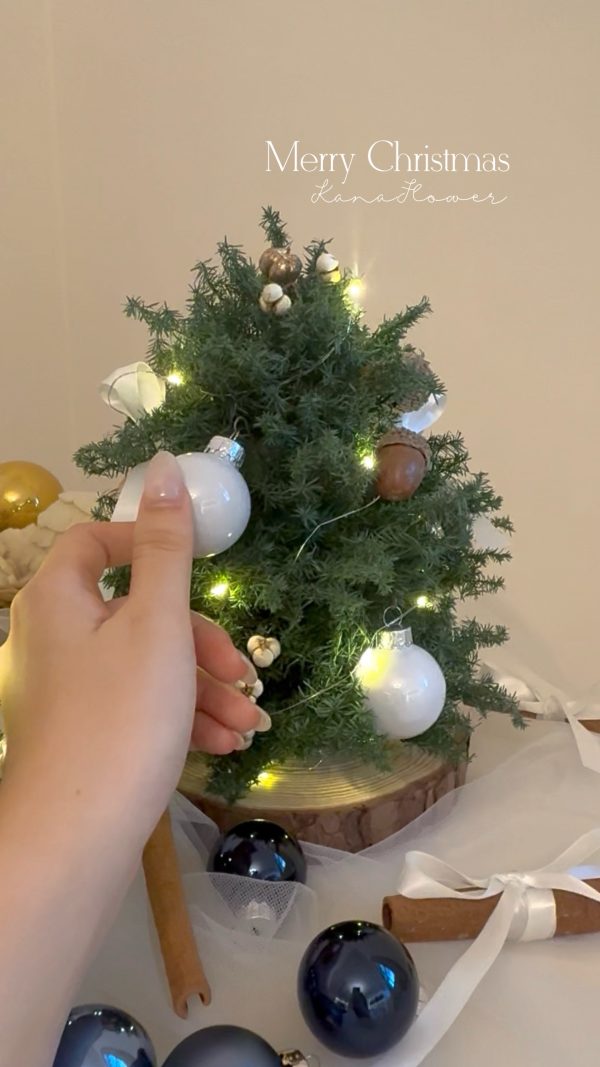 2025 永生雪松聖誕樹