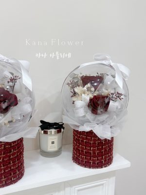 img_3042 2026 V6波波球-玫玫八分甜