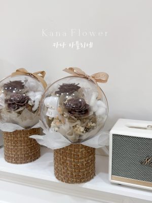 img_3044 2026 V8 波波球-松茶可可