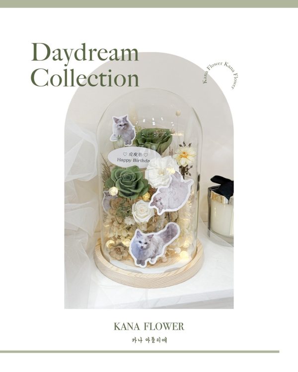 萌寵白日夢 Daydream Collection